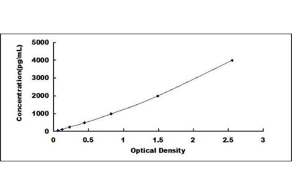 FADS1 ELISA Kit