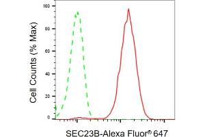 Flow cytometric analysis of SEC23B expression in C2C12 cells using SEC23B antibody (ABIN7800280), 1:2,000).