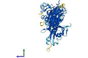AlphaFold protein structure predicition of Human Recombinant CAPN6 Protein, UniprotID Q9Y6Q1 (Calpain 6 Protein (CAPN6) (AA 1-641) (His tag))