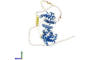 Protein Structure (PS) image for Programmed Cell Death 4 (PDCD4) (AA 1-469) protein (His tag) (ABIN7554917)