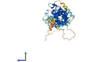 AlphaFold protein structure predicition of Human Recombinant FANCF Protein, UniprotID Q9NPI8 (FANCF Protein (AA 1-374) (His tag))