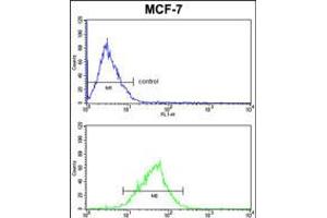 MDFIC Antibody FC analysis of MCF-7 cells (bottom histogram) compared to a negative control cell (top histogram). (MDFIC antibody  (N-Term))
