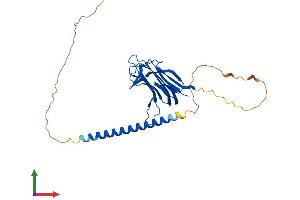 AlphaFold protein structure predicition of Human Recombinant TNFSF13B Protein, UniprotID Q9Y275 (BAFF Protein (AA 1-285) (His tag))