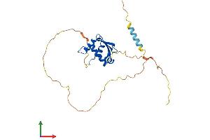 AlphaFold protein structure predicition of Mouse Recombinant Spic Protein, UniprotID Q6P3D7 (SPIC Protein (AA 1-242) (His tag))