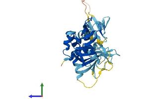 AlphaFold protein structure predicition of Human Recombinant C14orf28 Protein, UniprotID Q4W4Y0