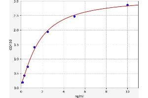 IFITM2 ELISA Kit