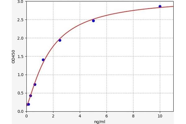 IFITM2 ELISA Kit