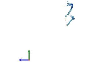 AlphaFold protein structure predicition of Mouse Recombinant Ribc1 Protein, UniprotID Q9D0B8