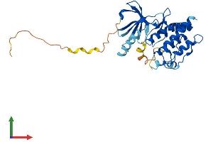 AlphaFold protein structure predicition of Mouse Recombinant Nek6 Protein, UniprotID Q9ES70