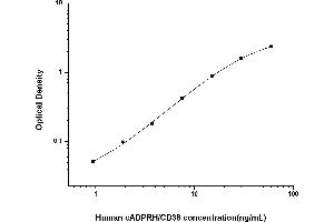 Typical standard curve (CD38 ELISA Kit)