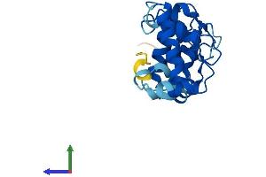 Protein Structure (PS) image for Calcium And Integrin Binding Family Member 2 (CIB2) (AA 1-187) protein (His tag) (ABIN7556456)