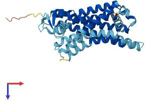 AlphaFold protein structure predicition of Human Recombinant OR51A2 Protein, UniprotID Q8NGJ7 (OR51A2 Protein (AA 1-313) (His tag))