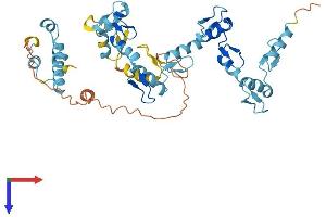 AlphaFold protein structure predicition of Human Recombinant ZNF736 Protein, UniprotID B4DX44
