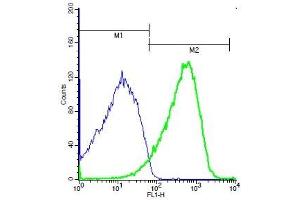 Mouse kidney cells probed with Rabbit Anti-DcR2/TNFRSF10D Polyclonal Antibody, Unconjugated (ABIN733088) (green) at 1:50 for 40 minutes followed by incubation with a FITC conjugated secondary compared to control cells (blue). (DcR2 antibody)