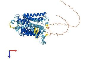 AlphaFold protein structure predicition of Mouse Recombinant Slc23a1 Protein, UniprotID Q9Z2J0 (SLC23A1 Protein (AA 1-605) (His tag))