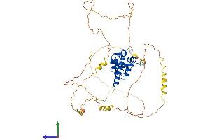 Protein Structure (PS) image for Stromal Membrane Associated Protein 1 (SMAP1) (AA 1-467) protein (His tag) (ABIN7546104)
