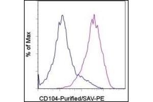 Flow Cytometry (FACS) image for anti-Integrin beta 4 (ITGB4) antibody (ABIN614431) (Integrin beta 4 antibody)