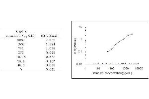 Vitronectin (VTN) ELISA Kit