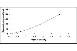 Typical standard curve (N6AMT1 ELISA Kit)