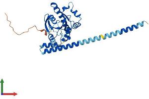 AlphaFold protein structure predicition of Mouse Recombinant Gimap5 Protein, UniprotID Q8BWF2 (GIMAP5 Protein (AA 1-308) (His tag))