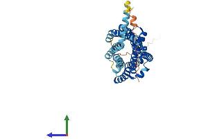 Protein Structure (PS) image for Chemokine (C-C Motif) Receptor 1 (CCR1) (AA 1-355) protein (His tag) (ABIN7553105)