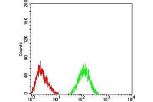 Flow cytometric analysis of SK-N-SH cells using CHRNA6 mouse mAb (green) and negative control (red). (CHRNA6 antibody  (AA 26-239))