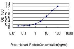 Detection limit for recombinant GST tagged COMMD7 is approximately 0. (COMMD7 antibody  (AA 1-200))