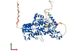AlphaFold protein structure predicition of Human Recombinant CRY2 Protein, UniprotID Q49AN0 (CRY2 Protein (AA 1-593) (His tag))