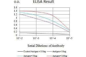 Black line: Control Antigen (100 ng),Purple line: Antigen (10 ng), Blue line: Antigen (50 ng), Red line:Antigen (100 ng) (CD7 antibody  (AA 26-180))
