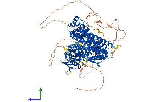 AlphaFold protein structure predicition of Mouse Recombinant Farp2 Protein, UniprotID Q91VS8 (FARP2 Protein (AA 1-1065) (His tag))