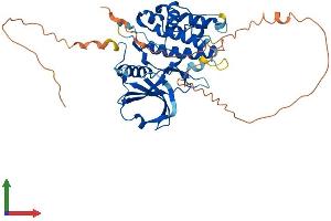 Protein Structure (PS) image for serine/threonine Kinase 17a (STK17A) (AA 1-414) protein (His tag) (ABIN7546319)