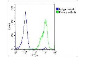 Overlay histogram showing U-2 OS cells stained with (ABIN651298 and ABIN2840176)(green line). (Adiponectin Receptor 2 antibody  (AA 45-72))