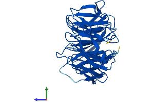 Protein Structure (PS) image for WD Repeat Domain 82 (WDR82) (AA 1-313) protein (His tag) (ABIN7545092)
