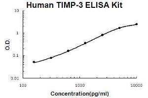 Human TIMP-3 PicoKine ELISA Kit standard curve (TIMP3 ELISA Kit)
