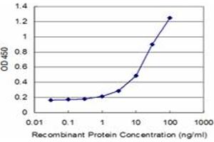 Detection limit for recombinant GST tagged ATP5J is approximately 1ng/ml as a capture antibody. (ATP5J antibody  (AA 1-108))