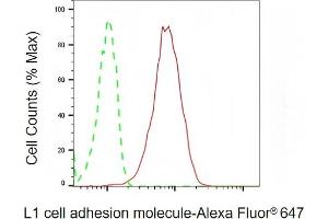 Flow cytometric analysis of L1 cell adhesion molecule expression in HepG2 cells using L1 cell adhesion molecule antibody (ABIN7799217), 1:2,000).