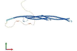 Protein Structure (PS) image for Tektin 3 (TEKT3) (AA 1-490) protein (His tag) (ABIN7544307)