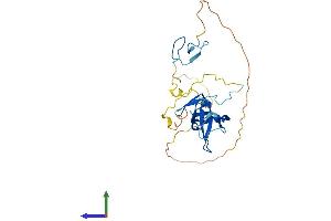 AlphaFold protein structure predicition of Human Recombinant GATAD1 Protein, UniprotID Q8WUU5 (GATAD1 Protein (AA 1-269) (His tag))