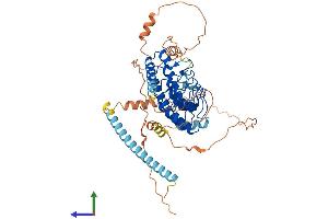 AlphaFold protein structure predicition of Human Recombinant POTEC Protein, UniprotID B2RU33 (POTEC Protein (AA 1-542) (His tag))