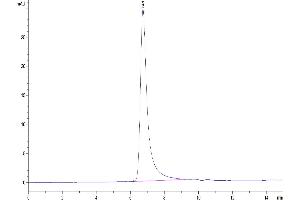 Size-exclusion chromatography-High Pressure Liquid Chromatography (SEC-HPLC) image for CD4 (CD4) (AA 26-390) protein (His-Avi Tag) (ABIN7274184)