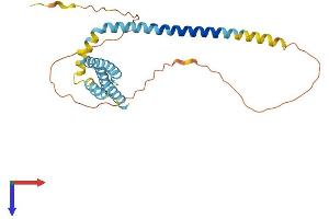 REEP3 Protein (AA 1-255) (His tag)