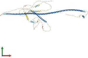 AlphaFold protein structure predicition of Mouse Recombinant Ccdc27 Protein, UniprotID Q3V036 (CCDC27 Protein (AA 1-639) (His tag))