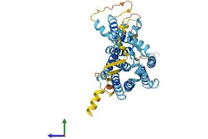 AlphaFold protein structure predicition of Mouse Recombinant Sppl3 Protein, UniprotID Q9CUS9 (SPPL3 Protein (AA 1-384) (His tag))