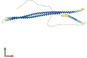 Protein Structure (PS) image for Keratin 15 (KRT15) (AA 1-452) protein (His tag) (ABIN7557701)