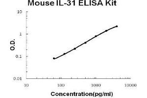 Mouse IL-31 PicoKine ELISA Kit standard curve