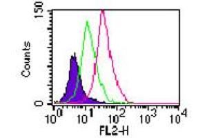 Image no. 2 for anti-Toll-Like Receptor 11 (Tlr11) (AA 900-950) antibody (ABIN301711) (TLR11 antibody  (AA 900-950))