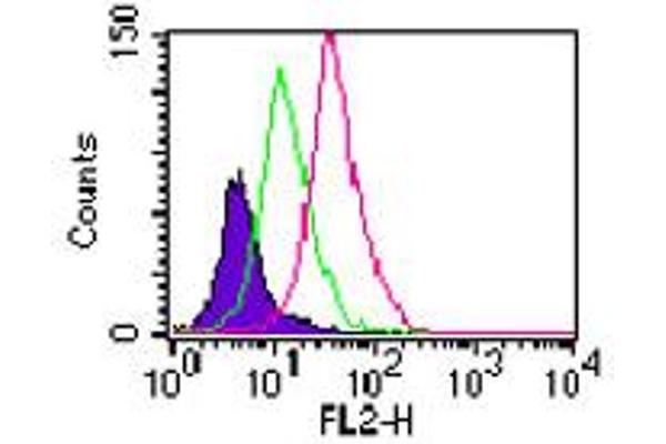 TLR11 antibody  (AA 900-950)