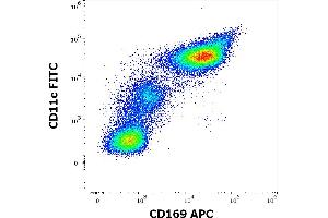 Flow cytometry multicolor surface staining of human TNF-α and INF-γ stimulated peripheral blood mononuclear cells stained using anti-human CD169 (7-239) APC antibody (10 μL reagent per milion cells in 100 μL of cell suspension) and anti-human CD11c (BU15) FITC antibody (20 μL reagent / 100 μL of peripheral whole blood). (Sialoadhesin/CD169 antibody  (APC))