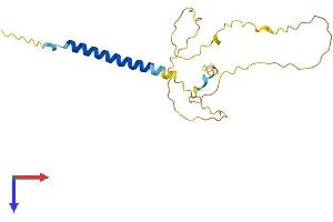 Myc Target 1 (MYCT1) (AA 1-188) protein (His tag)