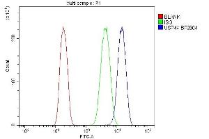 Flow Cytometry analysis of A431 cells using anti-USP44 antibody (ABIN7600640).